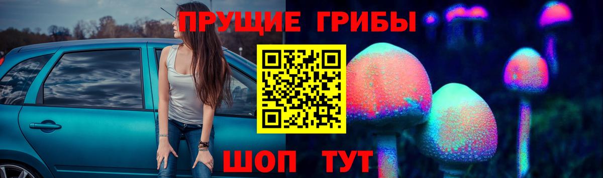 Магнитогорск  Псилоцибиновые грибы Cubensis  Псилоцибиновые грибы Cubensis  Вход с VPN 